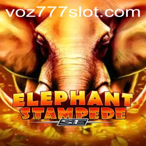 VOZ777 Casino Withdrawal